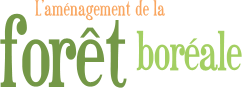 L'aménagement de la forêt boréale