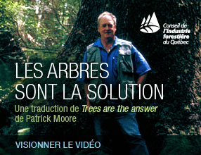 Les arbres sont la solution.
